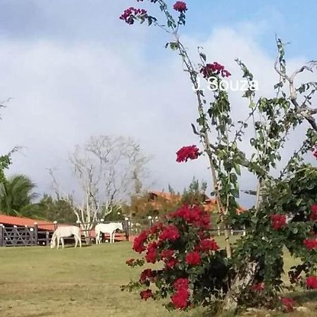 Flat Condominio Hotel Fazenda Gravata Monte Castelo Eksteriør billede